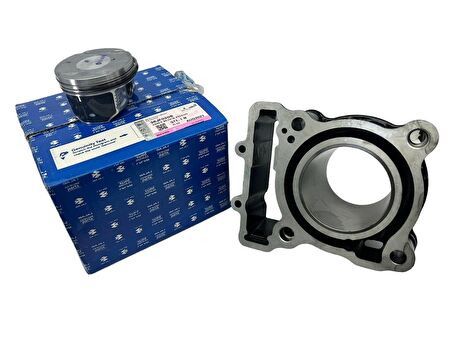 Bajaj Dominar D 250 Silindir Piston Takımı