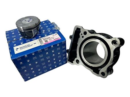 Bajaj Dominar D 250 Silindir Piston Takımı