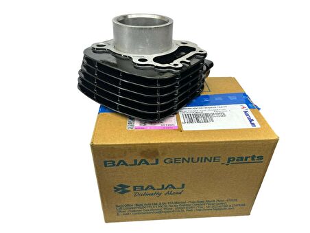 Bajaj Pulsar N 250 Silindir Piston Set