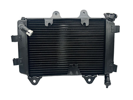 Bajaj Dominar 400 Radyatör