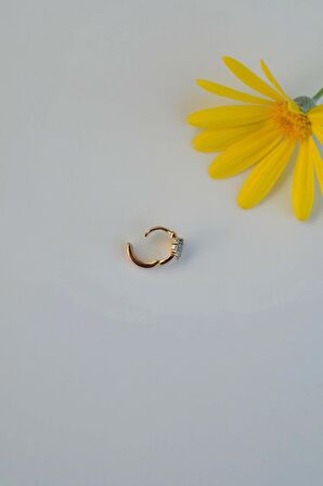 Zirkon Taşlı Kalp Model Helix Piercing Küpe Kıkırdak Lob Uyumlu