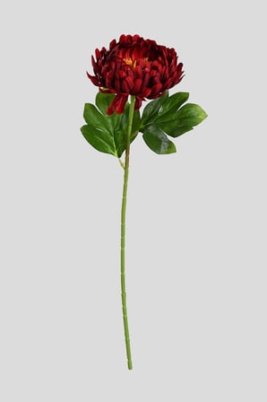 Kırmızı Yapay Kasımpatı Çiçeği Tek Dal Lüx İpeksi Dokulu 55 cm