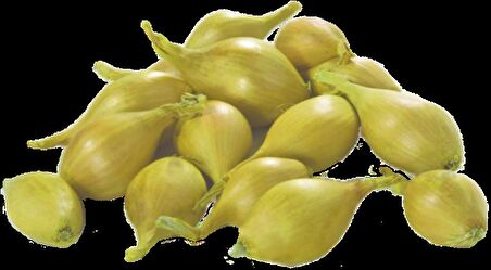 YERLİ ARPACIK SOĞAN 6 NUMARA (500 GR)