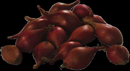 YERLİ ARPACIK SOĞAN 6 NUMARA (500 GR)