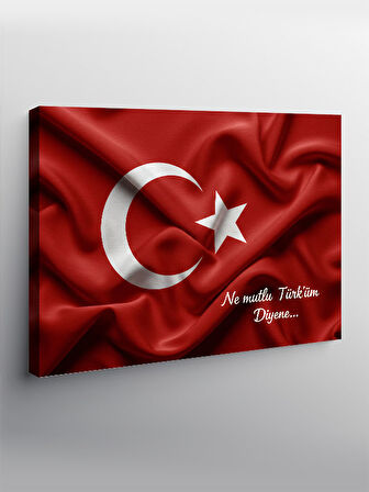 Kanvas Tablo Türk Bayrağı: Gururun Simgesi