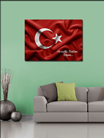 Kanvas Tablo Türk Bayrağı: Gururun Simgesi