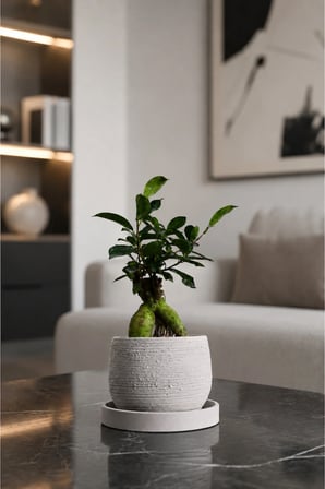 Dekoratif Beton Saksı V-127-AÇİK GRİ