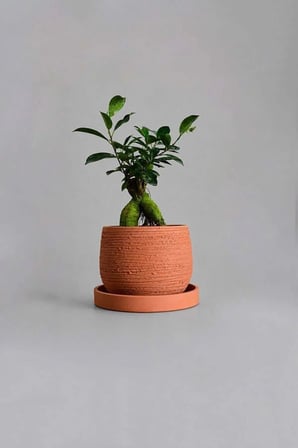 Dekoratif Beton Saksı V-127-AÇİK GRİ