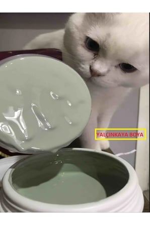 -yasemin 1 Lt