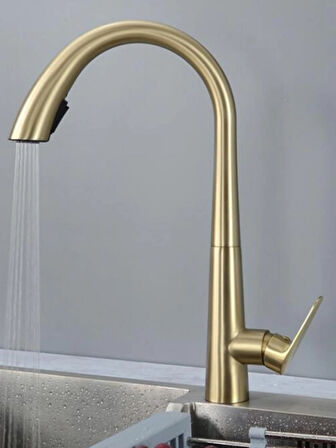 Gizli Spiralli Mutfak  Evye Bataryası Mat-Gold