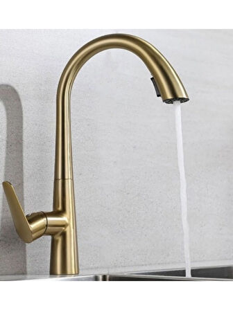 Gizli Spiralli Mutfak  Evye Bataryası Gold