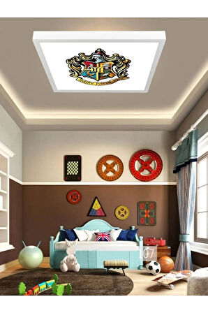 Harry Potter Logo  Avize, 60x60 kare modern çocuk odası avize, 60watt, led ışık, tavan lambası, YENİ