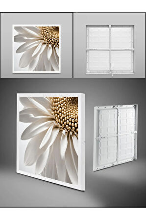 Paptya Led Avize, Salon avize modelleri 60x60, modern doğal beyaz ışık, 6400k, 60watt salon avize,