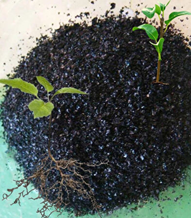 Köklendirici Çiçek, Bitki, Fidan Geliştirici POTASYUM HUMAT Humic-Fulvic Asit 500Gr