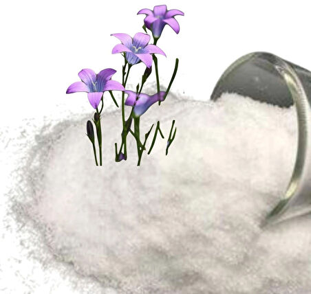 MAP Gübresi Mono Amonyum Fosfat Ec Fertilizer 12.61.0 NP Water Soluble 2,5 Kg