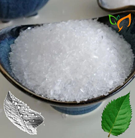 Magsul Magnezyum Sulfat Ec Fertilizer Toz Magnezyum, Azot ve Kükürtlü Gübre 2,5 Kg