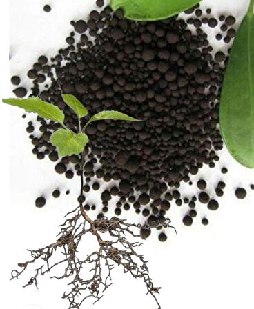  Taban Gübresi Kök Bitki Geliştirici Direnç Artırıcı Leonardit Humic Fulvic Asit Granül Gübre 5 Kg