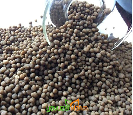 Toprak altı Kış Gübresi 20-20 NPK Kompoze Gübre, Taban Gübresi 5 Kg