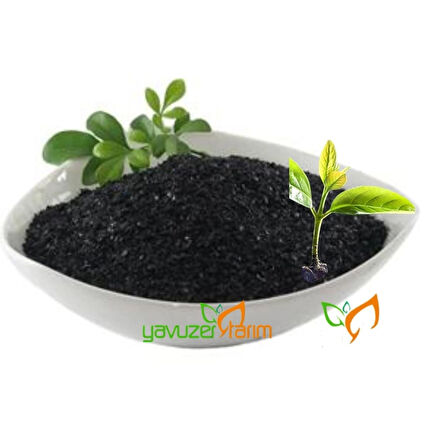 Deniz Yosunu Bitki Besini Toz Organik Gübre 500 gr