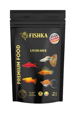 Live Bearer 40 GR