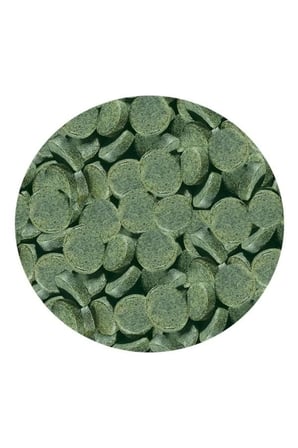 Spirulina Tab Nature Tablet Yem Kovadan 100 Adet