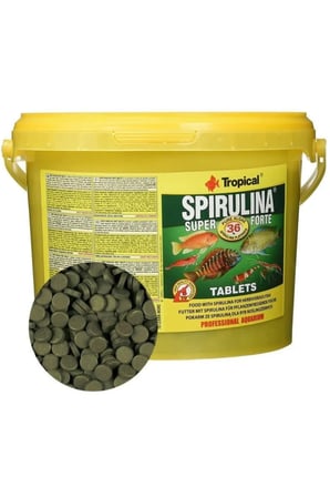 Super Spirulina Forte Tablet 20 GR