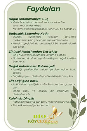  Yaş Zeytin Yaprağı Çayı | Köyceğiz'den %100 Doğal Detox Bitki Çayı • Güçlü Antioksidan