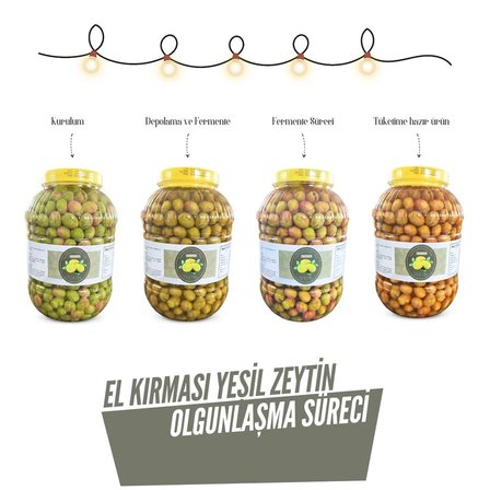 Kırma Yeşil Zeytin 5 lt Pet