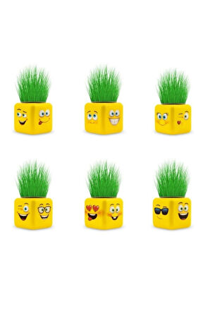 6Adet Çimoji Küp Çim Adam - Çocuk Ve Yetişkin - Oyun Ve Eğitici Çocuk Eğitici Oyuncaklar