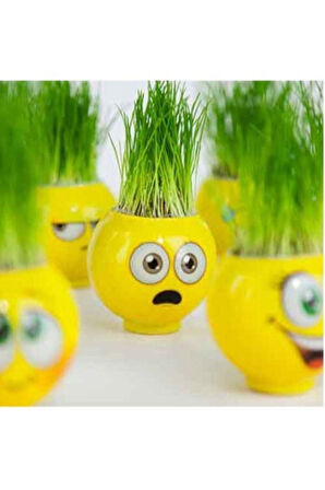 Çimoji Emojili Yeni Nesil Çim Adamlar 2Adet Çocuk Eğitici Oyuncaklar