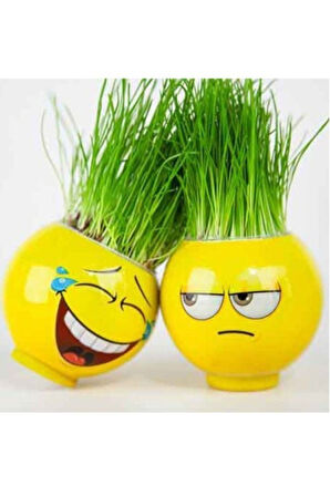 Çimoji Emojili Yeni Nesil Çim Adamlar 2Adet Çocuk Eğitici Oyuncaklar
