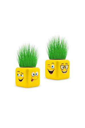 Çim Adam 24'lü Çim Adam Çocuk Eğitici Oyuncaklar