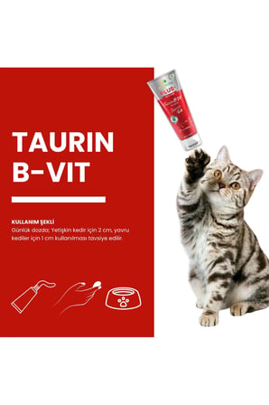 Taurin Ve B-Vitamin Kompleksi İçeren Malt Macun 100 Gr