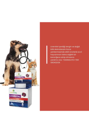 Livervital Kedi ve Köpekler için Karaciğer Sağlığı Destekliyici Tablet