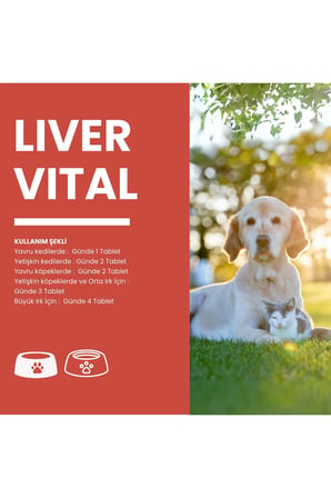 Livervital Kedi ve Köpekler için Karaciğer Sağlığı Destekliyici Tablet
