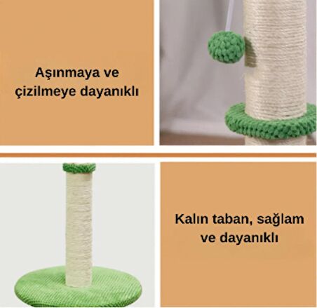 Tırmalama Tahtası Kedi Tırmalama Alanı Yeşil Kaktüs Şık