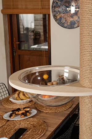 Tırmalama Tahtası Uzun Kedi Ağacı Özel Tasarım 2.5 M Robin