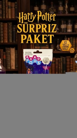 Harry Potter Temalı Koleksiyonluk Sürpriz Figür Seti 2'li Paket
