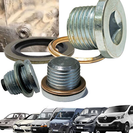 Modus Fluence Master 2-3 Trafıc 2-3 Karter Tapası Tapa Pulu Ve Bakır Conta Seti