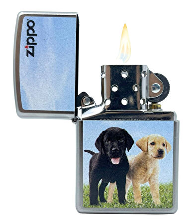 Zippo Labrador Puppies - Labrador Yavruları Dizayn Çakmak
