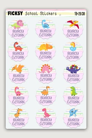 Ozel İsim Yazilabilen Okul Etiketi Defter Kitap İcin Dinozor Temali Sticker Seti 15 Adet Cikartma