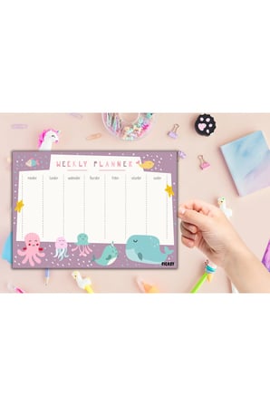 Çocuk Haftalık Planlayıcı - A4 - 30 Yaprak - Öğrenci Planlayıcı - Okul Planlayıcı - Ders Programı