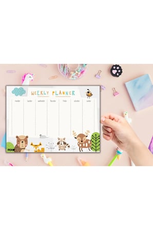 Çocuk Haftalık Planlayıcı - A4 - 30 Yaprak - Öğrenci Planlayıcı - Okul Planlayıcı - Ders Programı