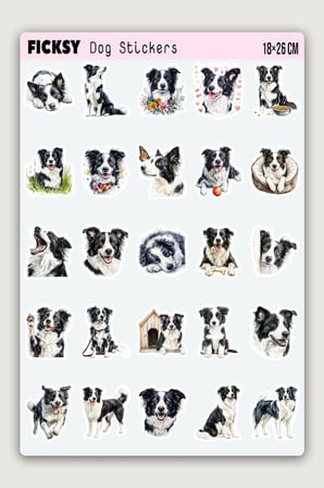 Border Collie Köpek Sticker Seti - 25 Adet Etiket Çıkartma