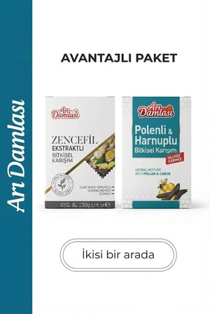 Arı Damlası 2'li Macun Setleri –Zencefil Ekstraktlı-Polen İçerikli Macun