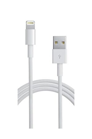 Iphone Uyumlu Hızlı Usb Kablosu 100CM Fast Lightning Usb