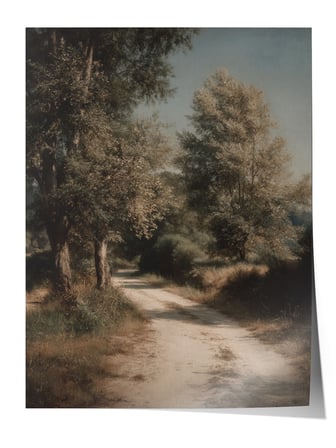 Vintage Duvar Posteri, Gölgeli Orman Yolu Poster No: 20215