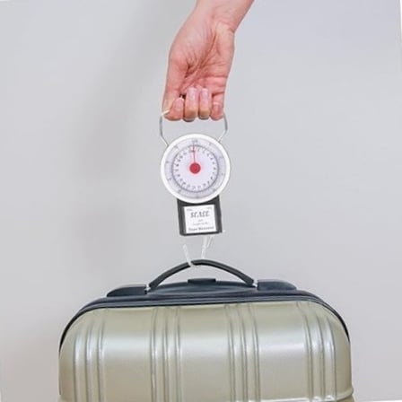 Tartı Hassas Kancalı Valiz Kantarı Pazar 35 Kg Yaylı 2'si Doğru Ölçüm Çanta Terazisi Askılı Terazi
