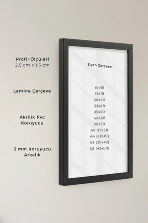 1 ADET Siyah Ahşap Duvar Çerçevesi – Poster ve Fotoğraf Çerçevesi Salon Ahşap Tablo, Bebek Odası Çerçeve
