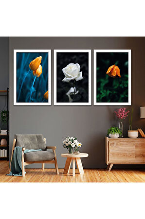 Siyah Ahşap Çerçeveli Beyaz Gül Tablo